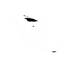 IB